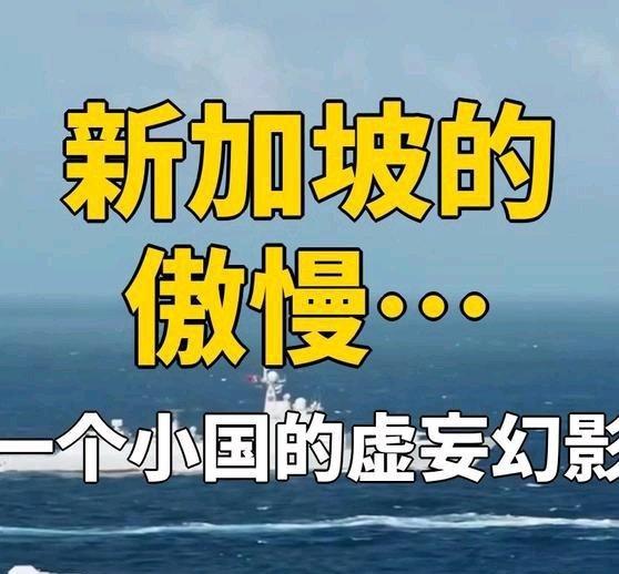 《新加坡的傲慢与无力：一个小国的虚妄幻影》新加坡的傲慢与无力：一个小国的虚妄幻影