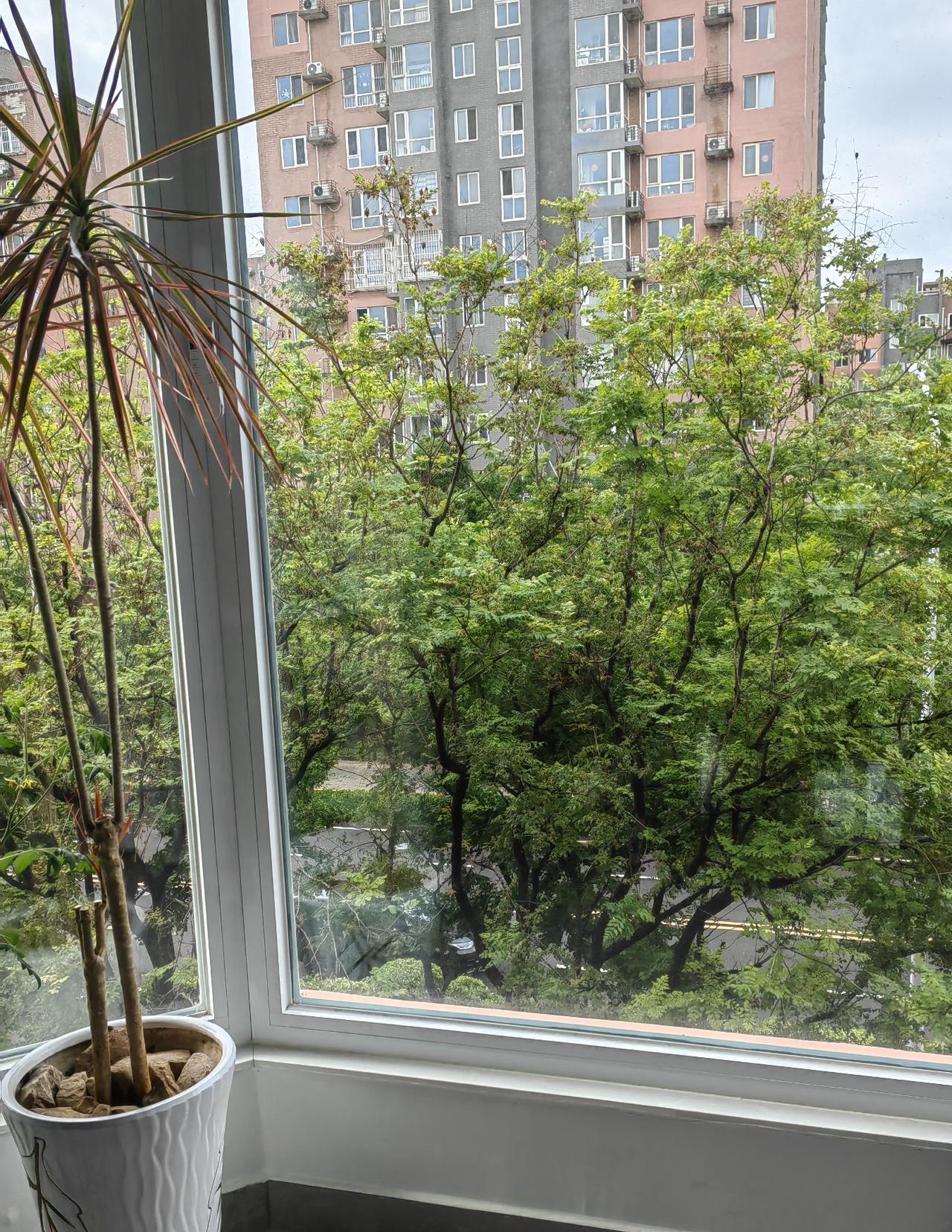 忽然发现，老公还挺抗老啊！脱下军装，换上普通衬衫，居然还挺显嫩啊，搞得我都有点不
