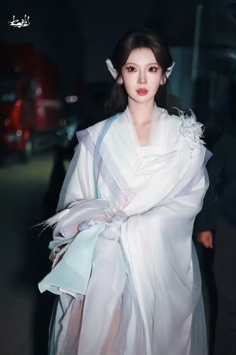张淼怡  ：狐 
