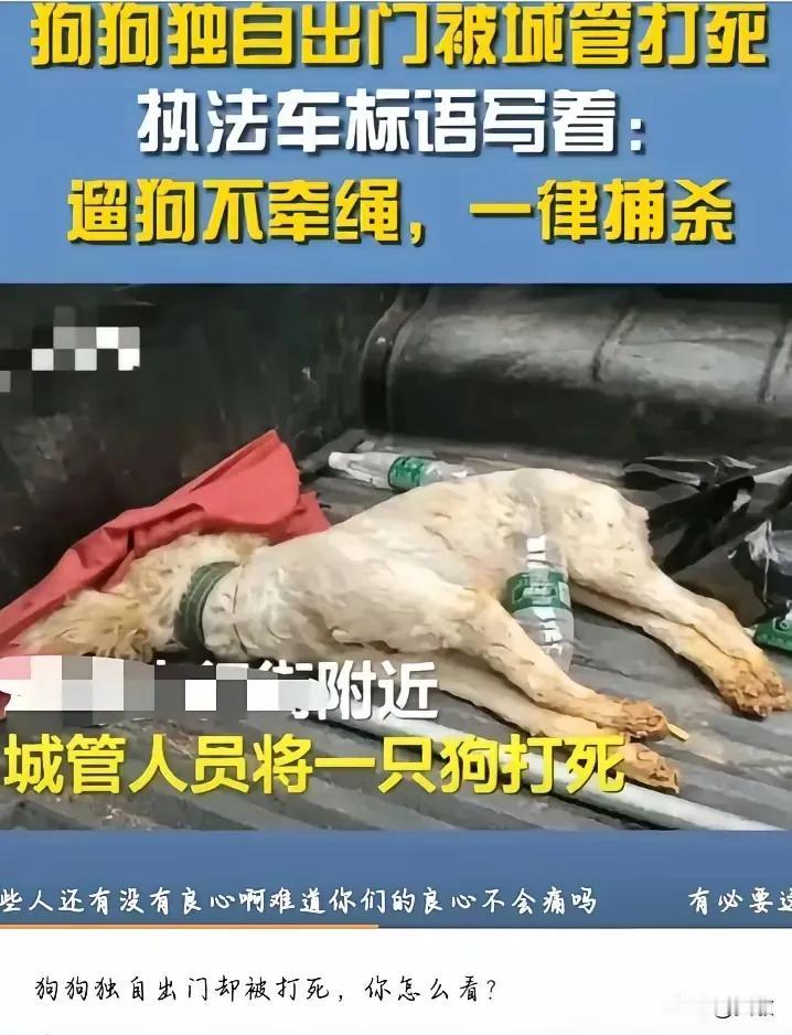 希望全国都推广这种做法
​
​
​网友就评论说：
​1，城管局：终于干了件得民心