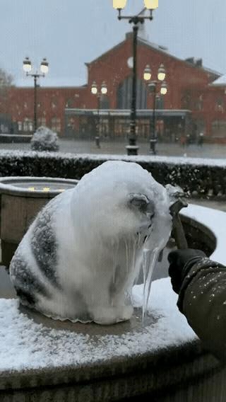 太可怜了！这天一位小哥哥下班回家，当他路过一个广场的时候，看到了无比凄惨的一幕，