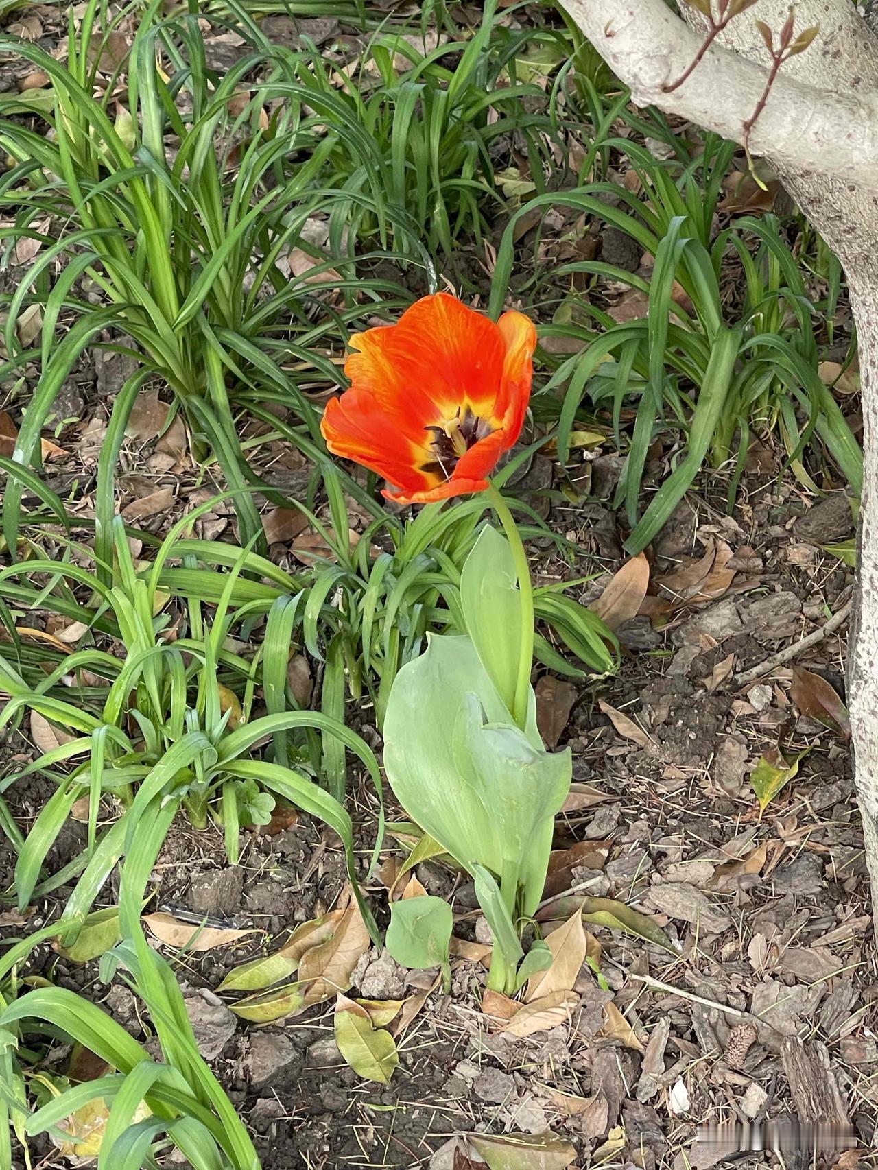 《三言两语》

当两人的能力在伯仲之间的时候，
格局大小就会决定胜负。

能力是