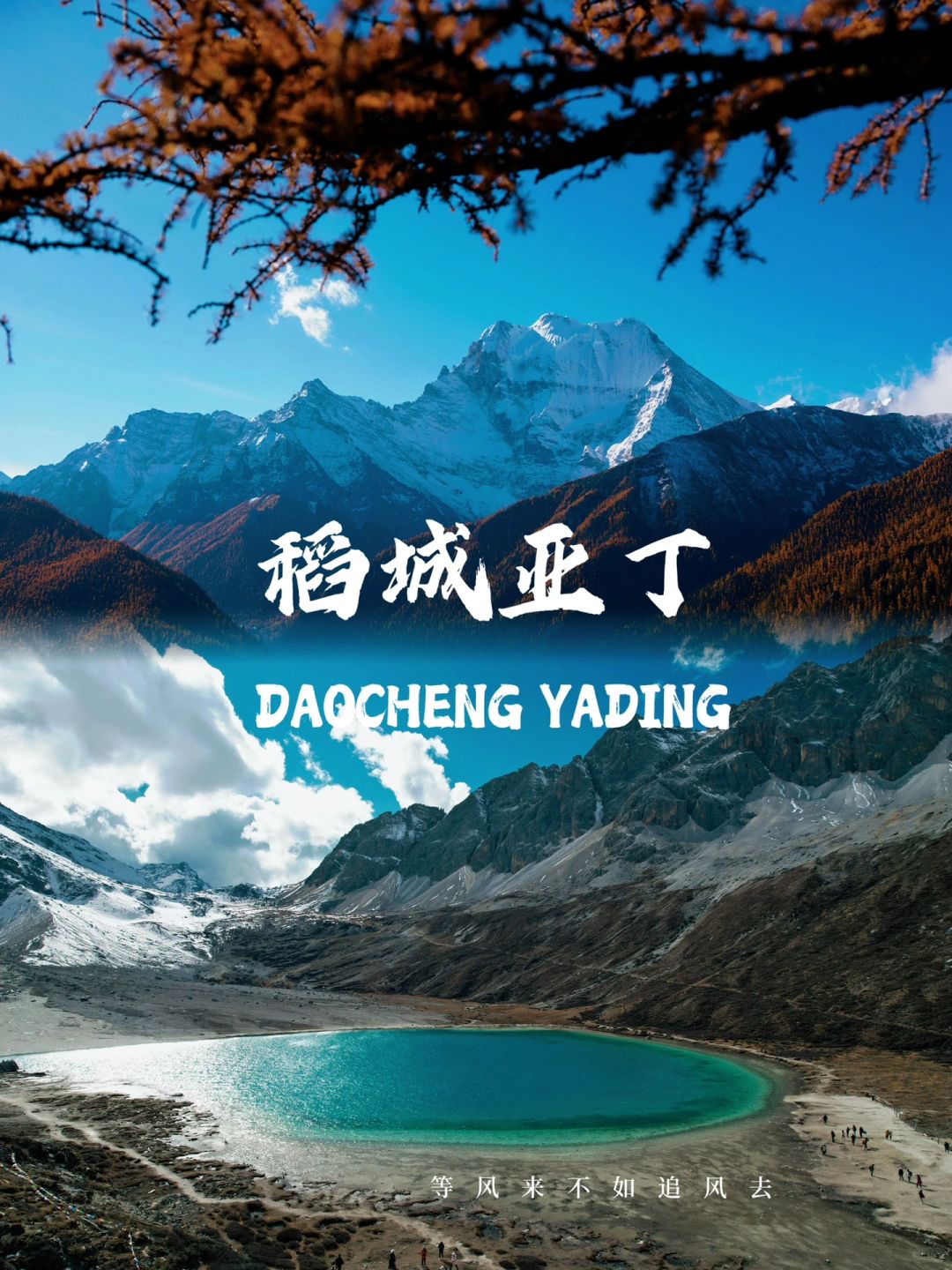 打个✈️的游稻城｜没多花💰享受了头等舱待遇