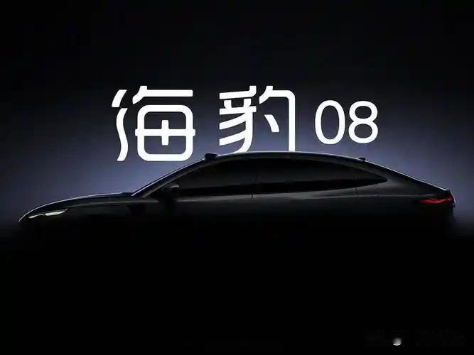 (1-20合集)
秦岚同款旗舰座驾海豹08是比亚迪旗下的一款中大型轿车，于202