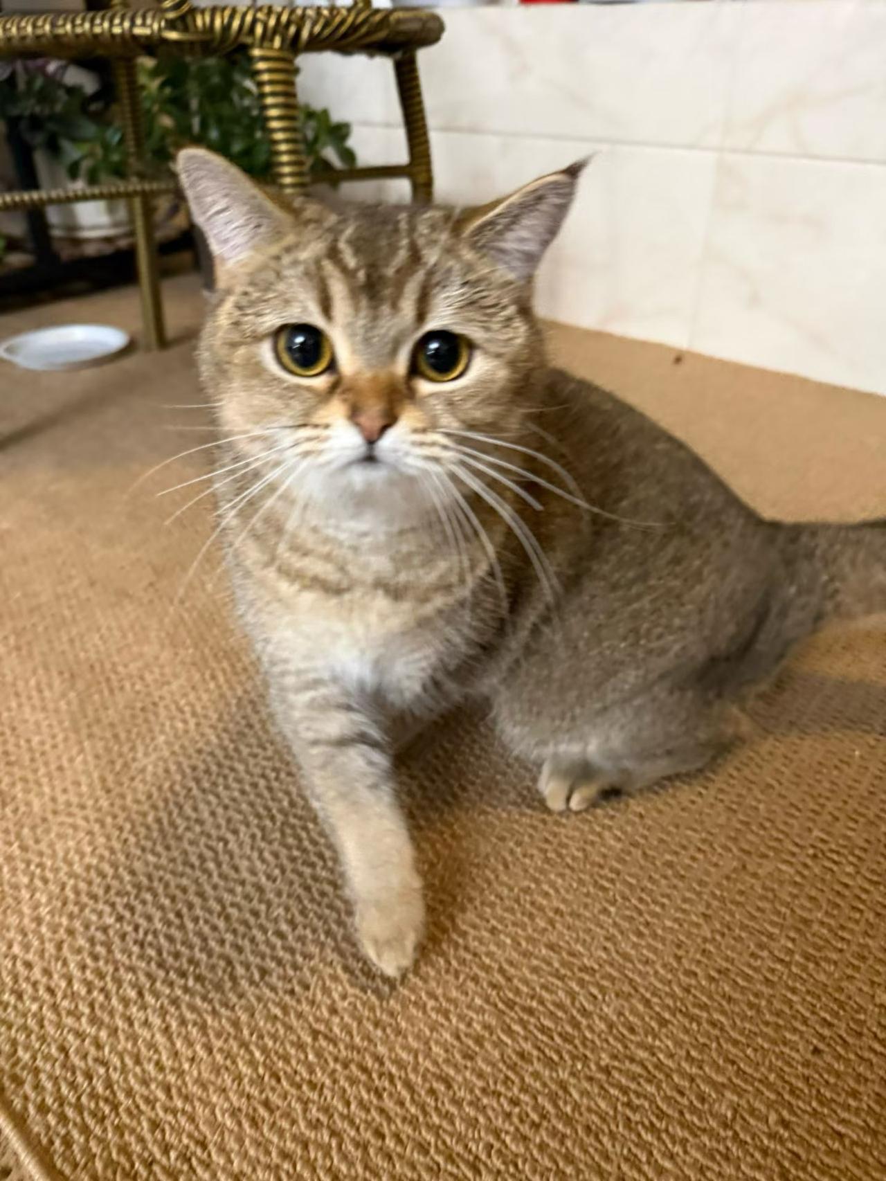 散记。所谓散记，就是无聊。无聊的人做无聊的事，其实很有意思。今天跟王刚兄聊天，他