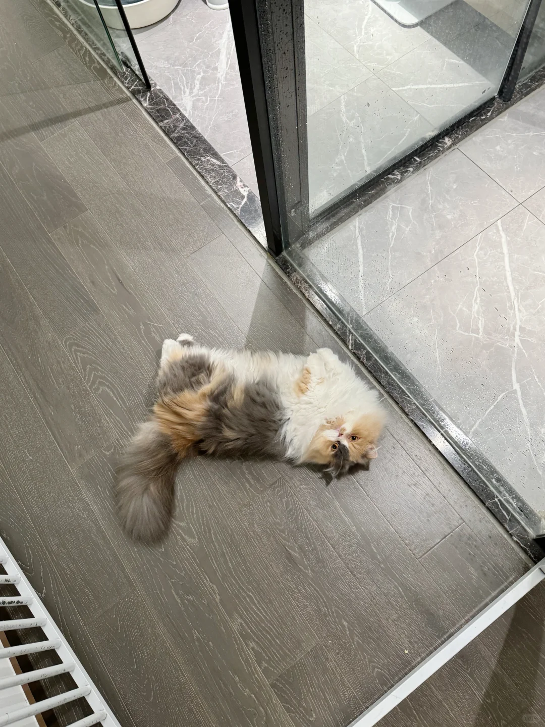 客人你好 请用俺擦擦脚吧