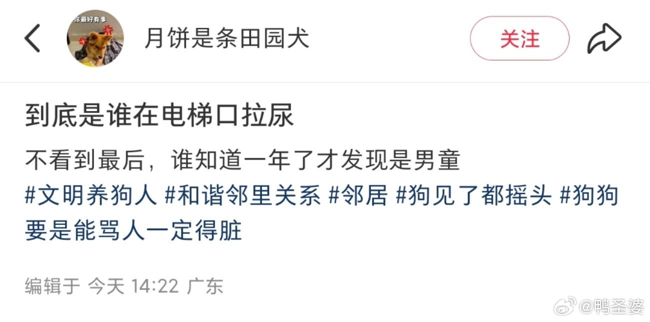 -小狗承受了一年的无妄之灾…还好安监控查监控了！