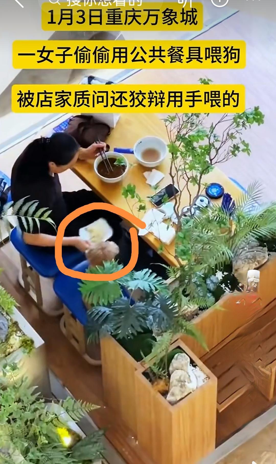 报警并收集证据，向市场监督管理局举报，要求涉事店铺停业整顿，销毁餐具并对店铺进行