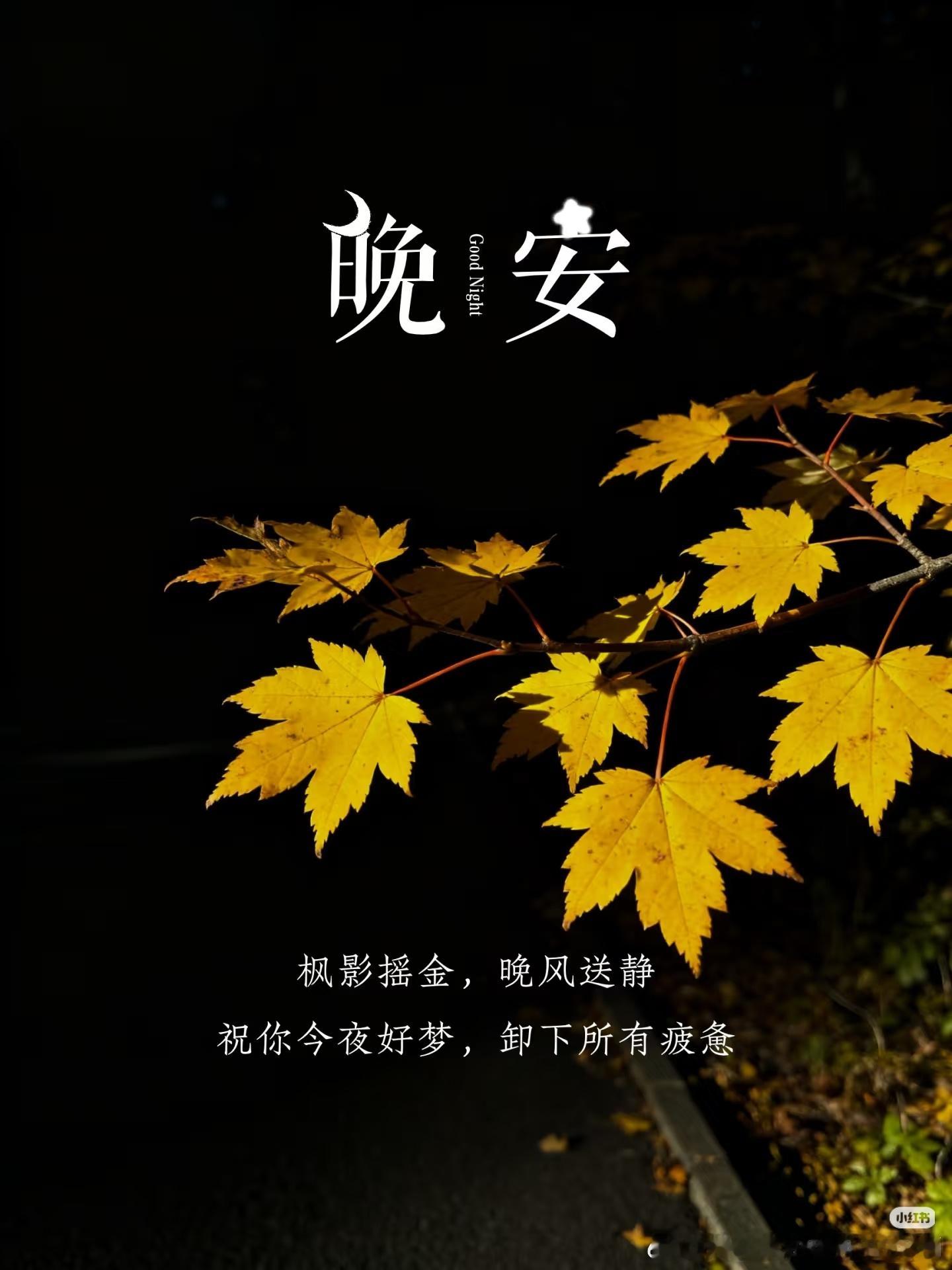 晚安，伙计们，周末闲暇的时光已经过去，明天准备开战，好好休息。[作揖]晚安老肖解
