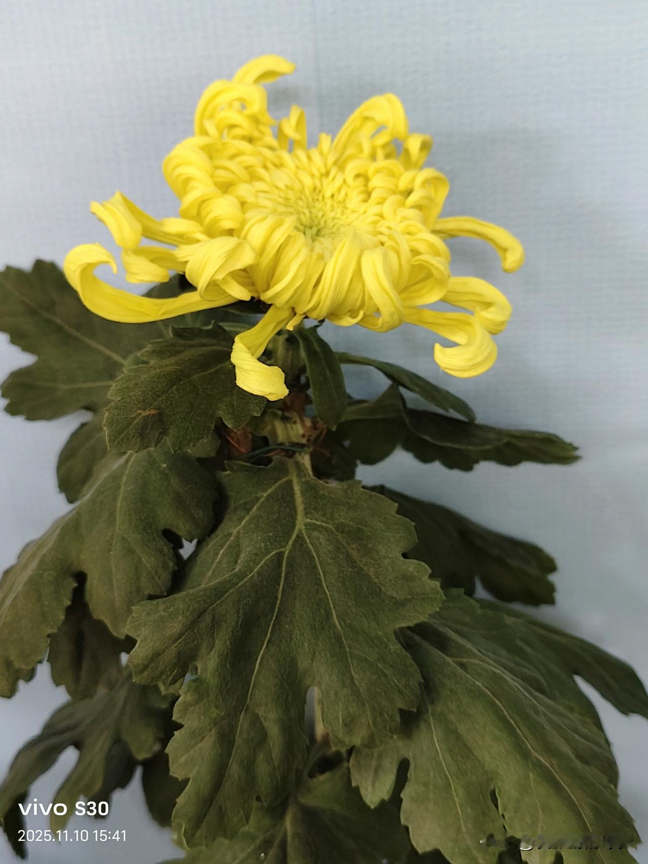 欢迎来到我的家乡