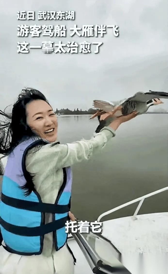 武汉，一女子驾船出海欣赏美景，突然飞来一群大雁和船并肩同行，女子伸出手，谁能想到