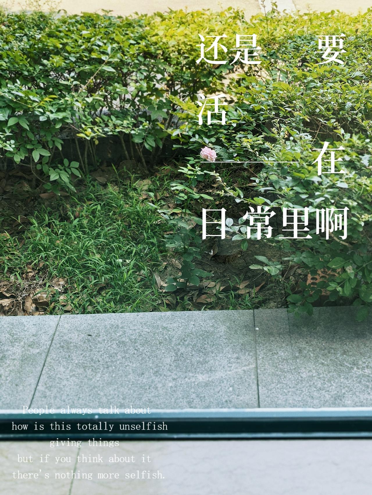 窗外的小花，
悠哉悠哉，
连风都慢下来，
在窗边，
兜兜转转不肯走。