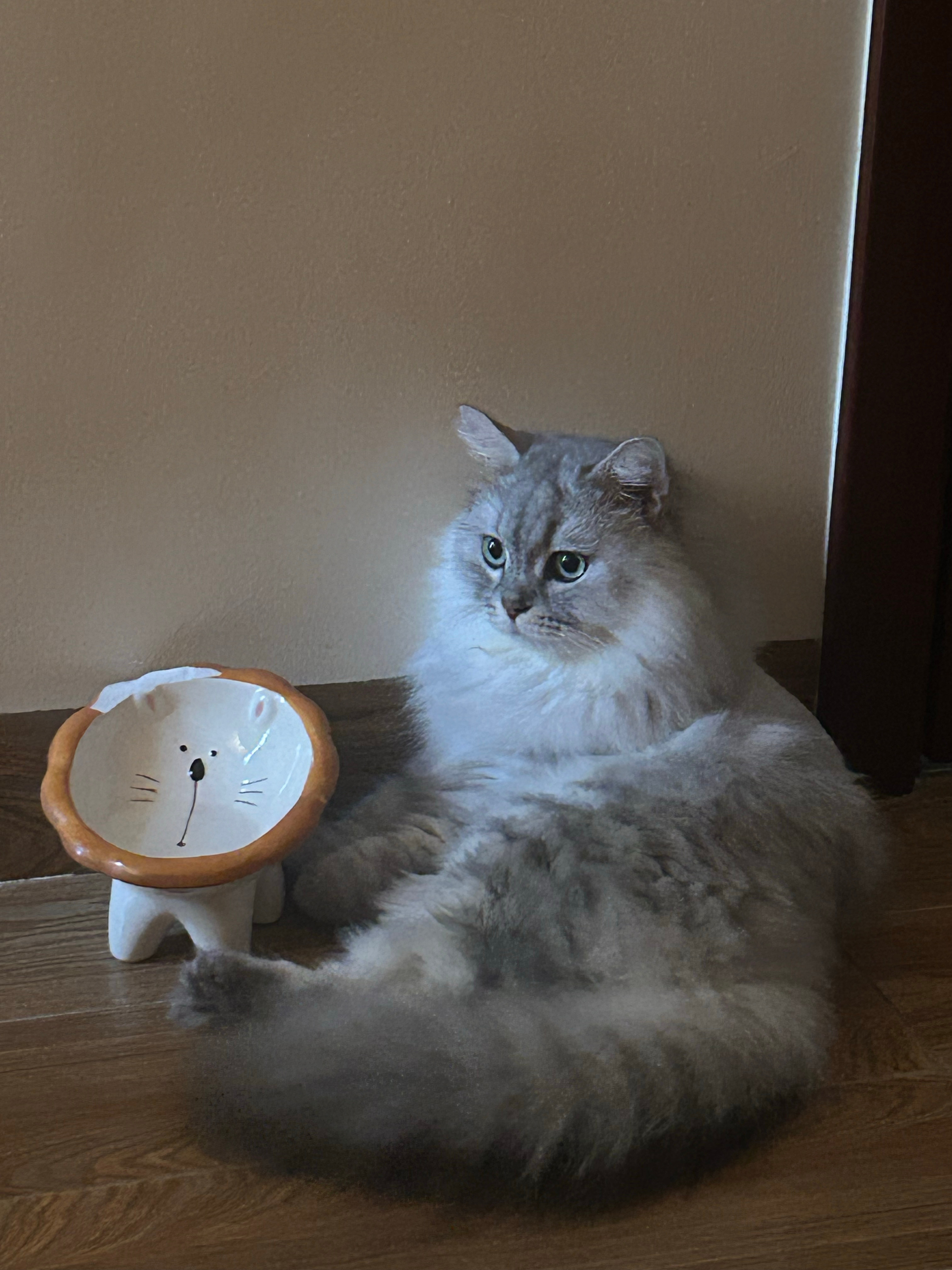 洗完澡没擦手把水都蹭七崽头上，看一个冷知识说猫妈妈会舔小猫洗澡，我就不舔了，一样