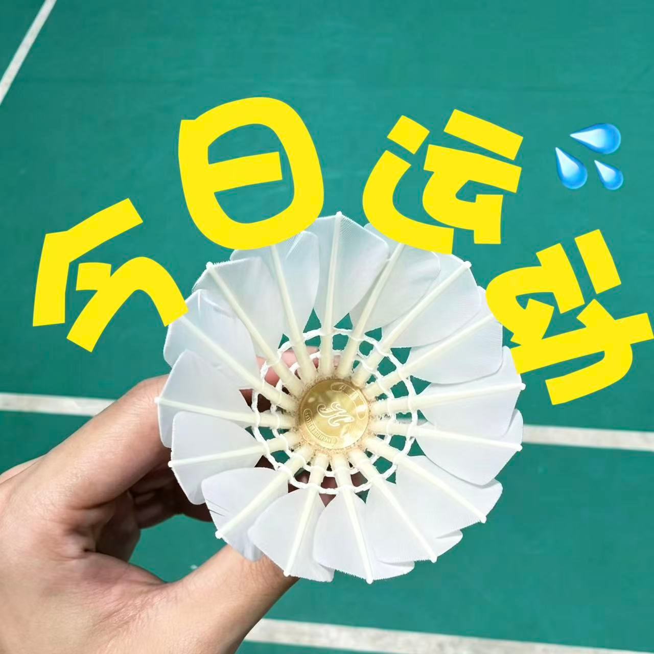 运动打卡 球拍、羽毛球、和永不言弃的热爱全民运动flag大会运动打卡