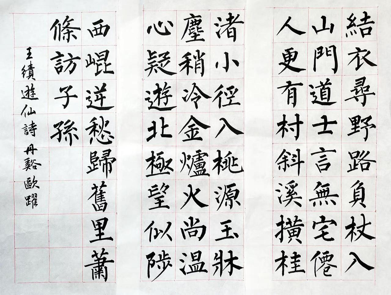 斜溪横桂渚，小径入桃源。柳体书法 写字是一种生活书法热门 书法日常  @创作者扶