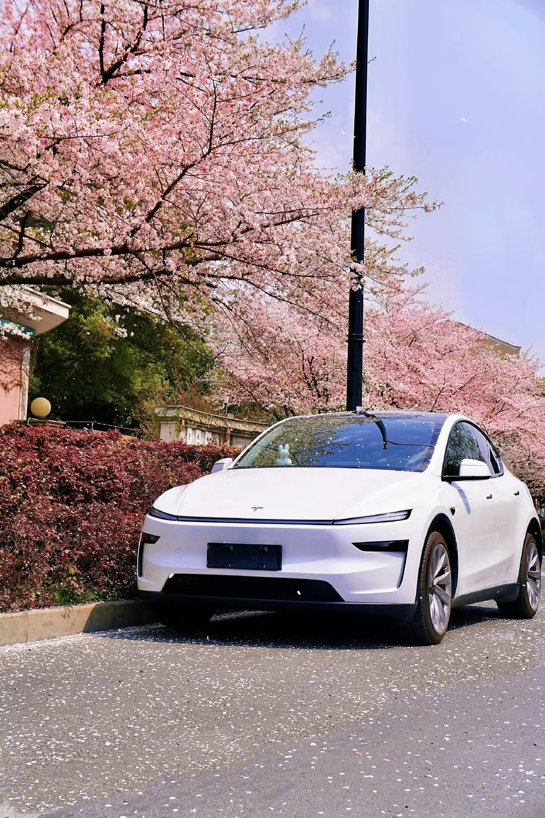 新西兰5月份电动汽车销量前10：415辆的特斯拉Model Y、142辆的比亚迪