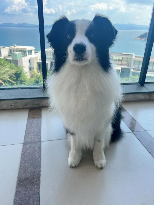 看我好看吗？不好看的话也没办法了
