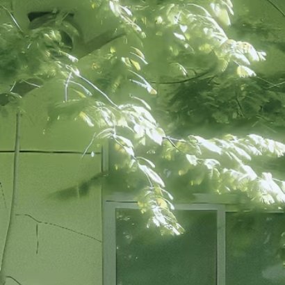 善微而易行，善小而能行，久而能持，方为善道。建功立业，须实地着手；行善积德，要随