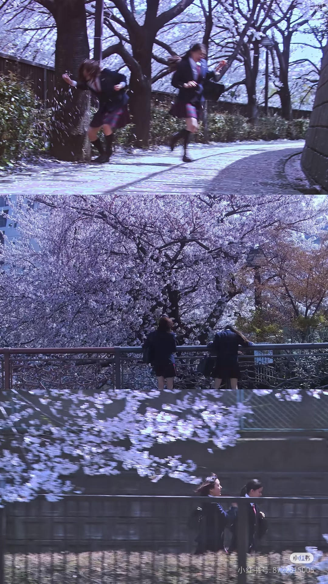 把最近看过的电影的影评发出来1.《挽救计划》其实整体观感不错，看的IMAX场，太