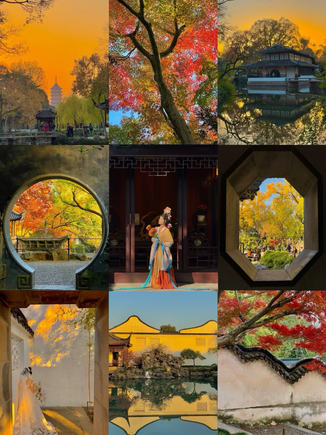 Live 图 | 苏州赏秋🍁记住这篇保姆级攻略‼️