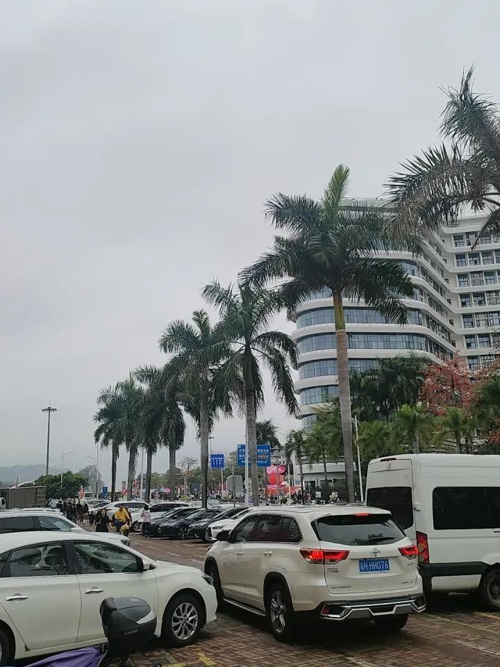 花车巡游堵堵堵[捂脸][捂脸][捂脸][捂脸][捂脸]