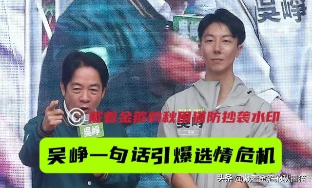 吴峥一句话引爆绿营选情危机，蒋万安顺势接球、登高一呼，成就蓝营一哥地位！殷玮爆料