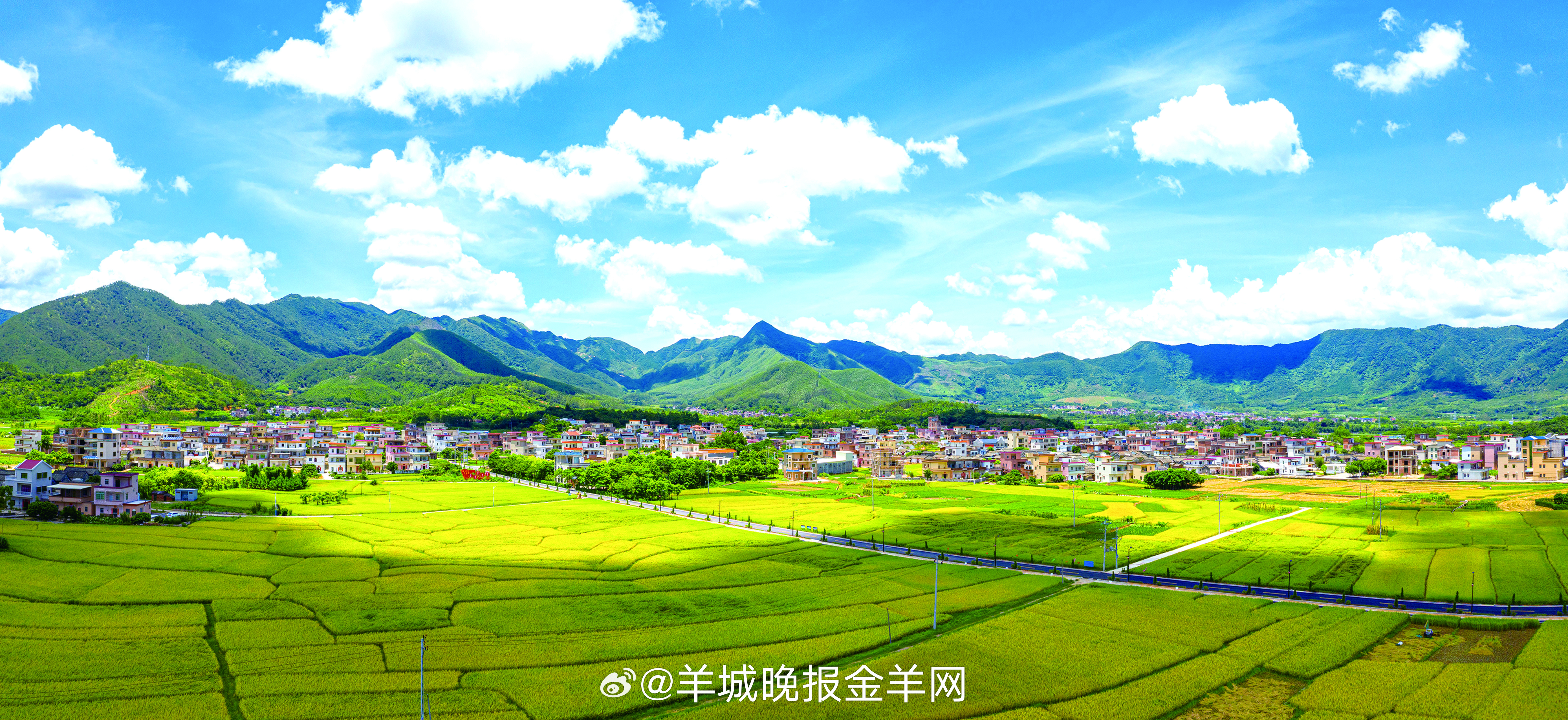 #早安#山再高，往上攀总能登顶；路再长，向前走总能到达。 ​​​