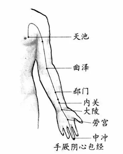 手上有条经是心脏“保护神”，救命的“痛点”，一定要揉开！

在传统医学中，人体经