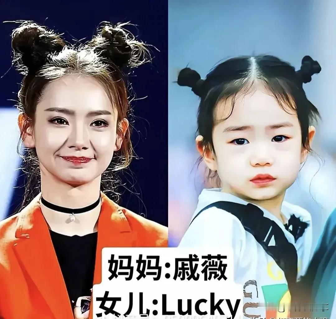 翻看妈妈的颜值！哪一对母女长相最像？
 
都说女儿大多随妈妈，看完这几组明星母女