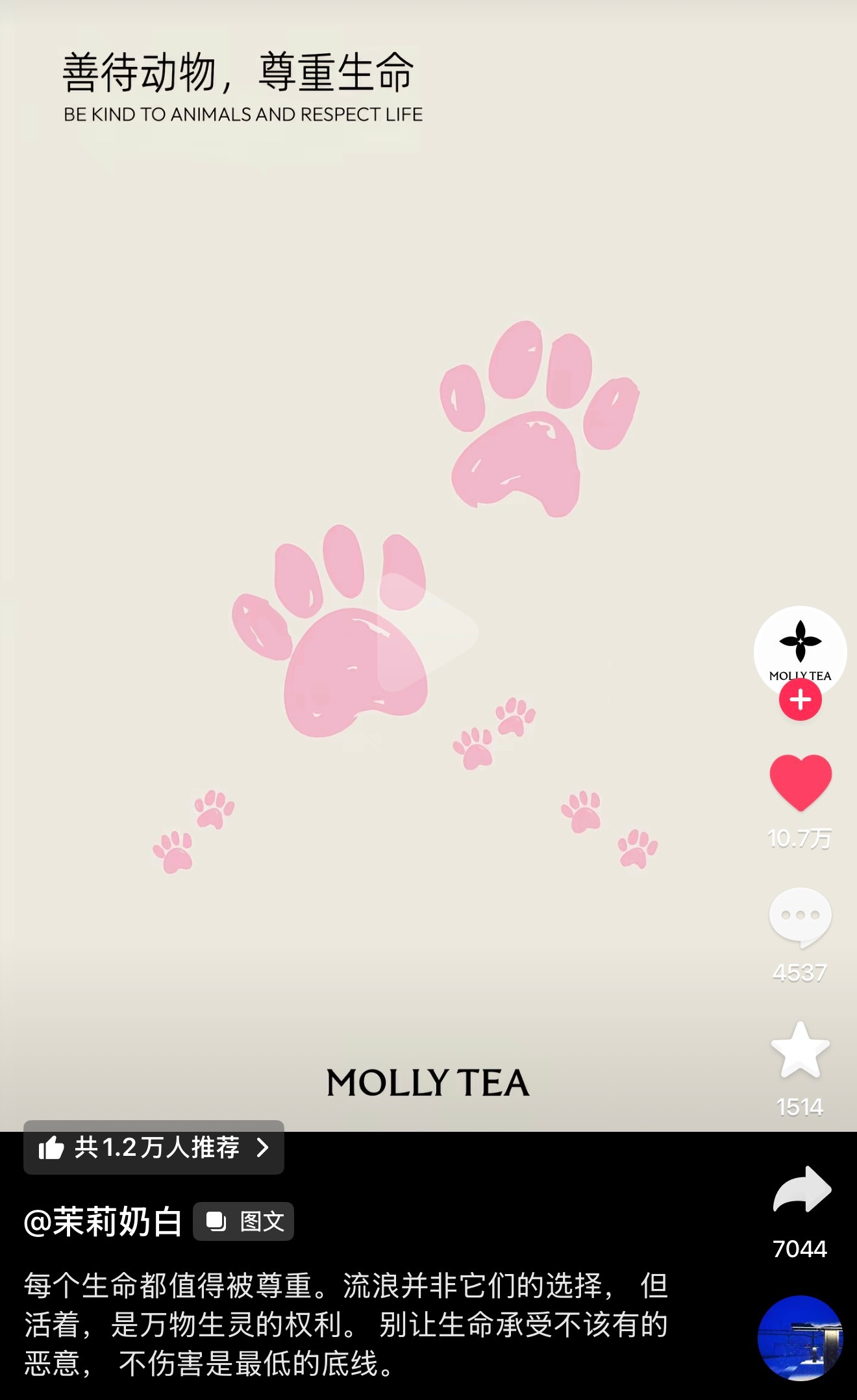 那我将点一杯茉莉奶白支持一下了评论区再抽一个宝宝 一起喝  抽奖详情
