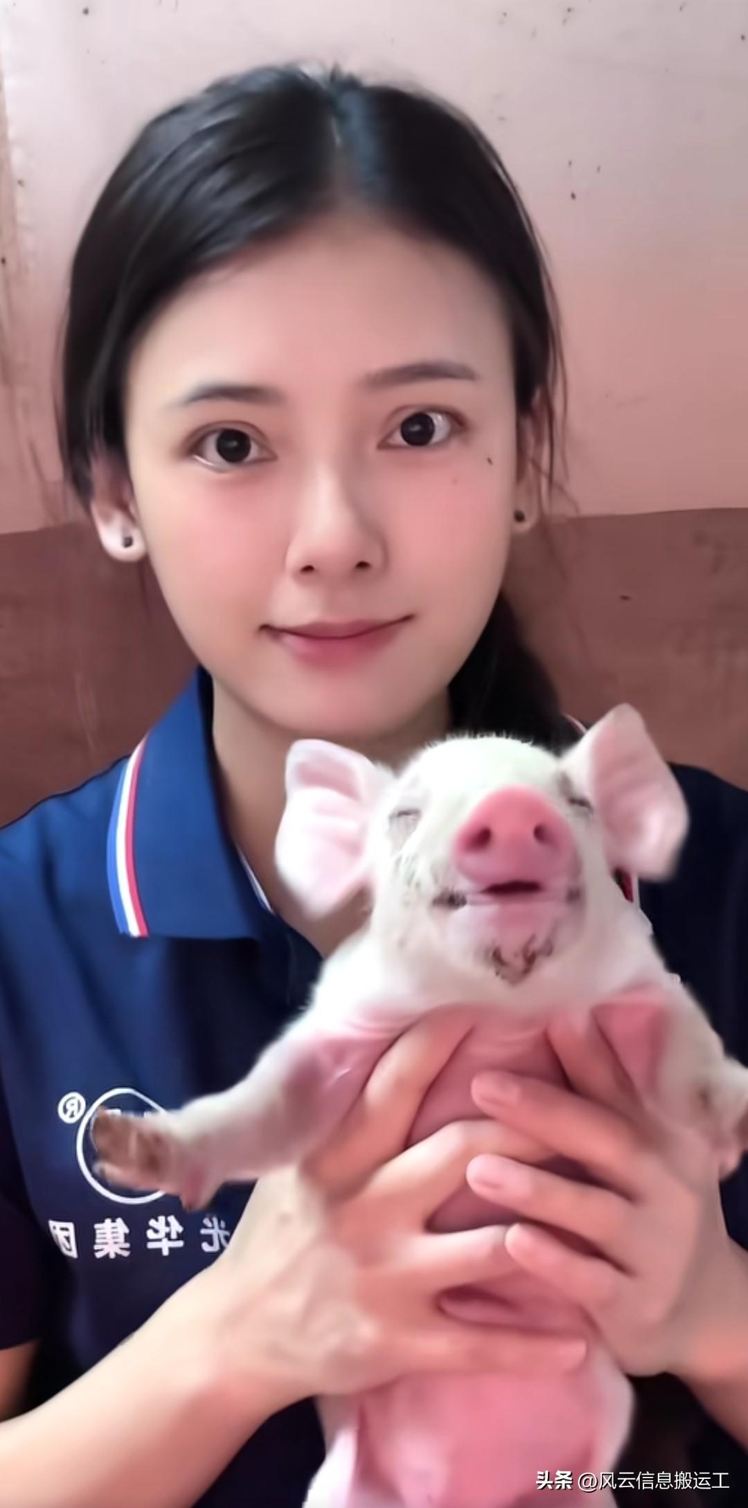抖音刷到颜值很高的养猪小姐姐，现在养个猪颜值都需要这么高嘛？这个小姐姐是真有技术