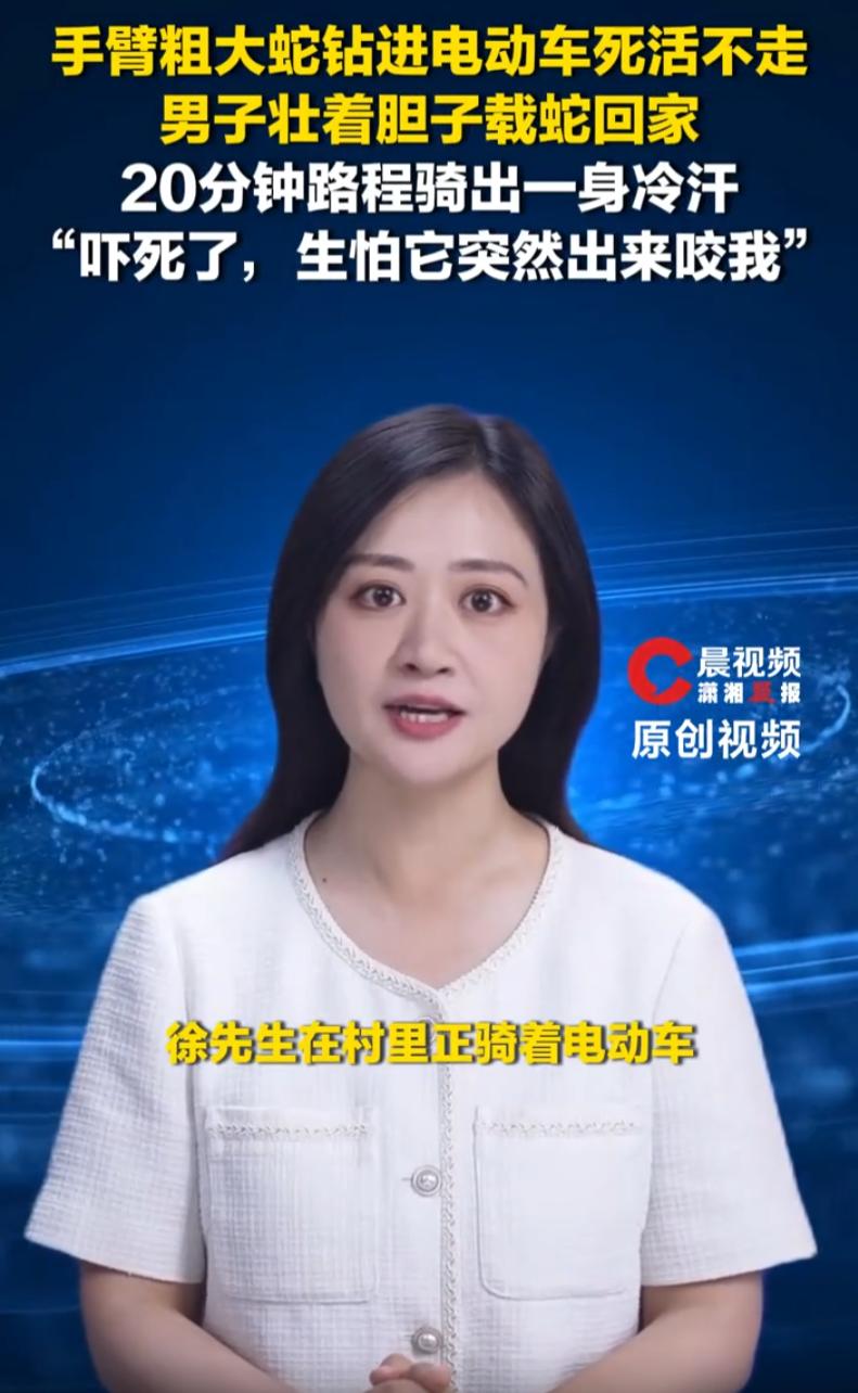 吓坏了！湖南耒阳，男子村口骑电动车，粗臂大蛇窜出钻进车底，赶不走不敢硬赶，男子硬