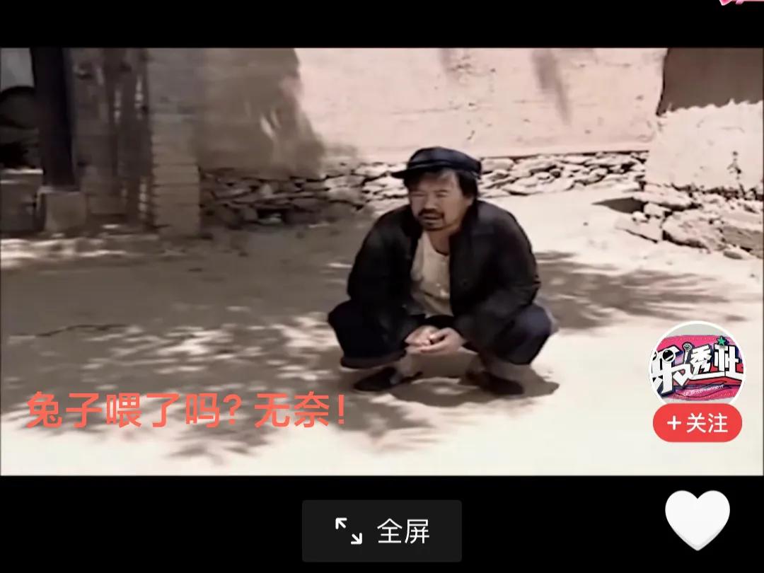 兔子喂了吗？
   想必大家都看了这部电视剧，一言难尽啊！
   兔子喂了吗？看