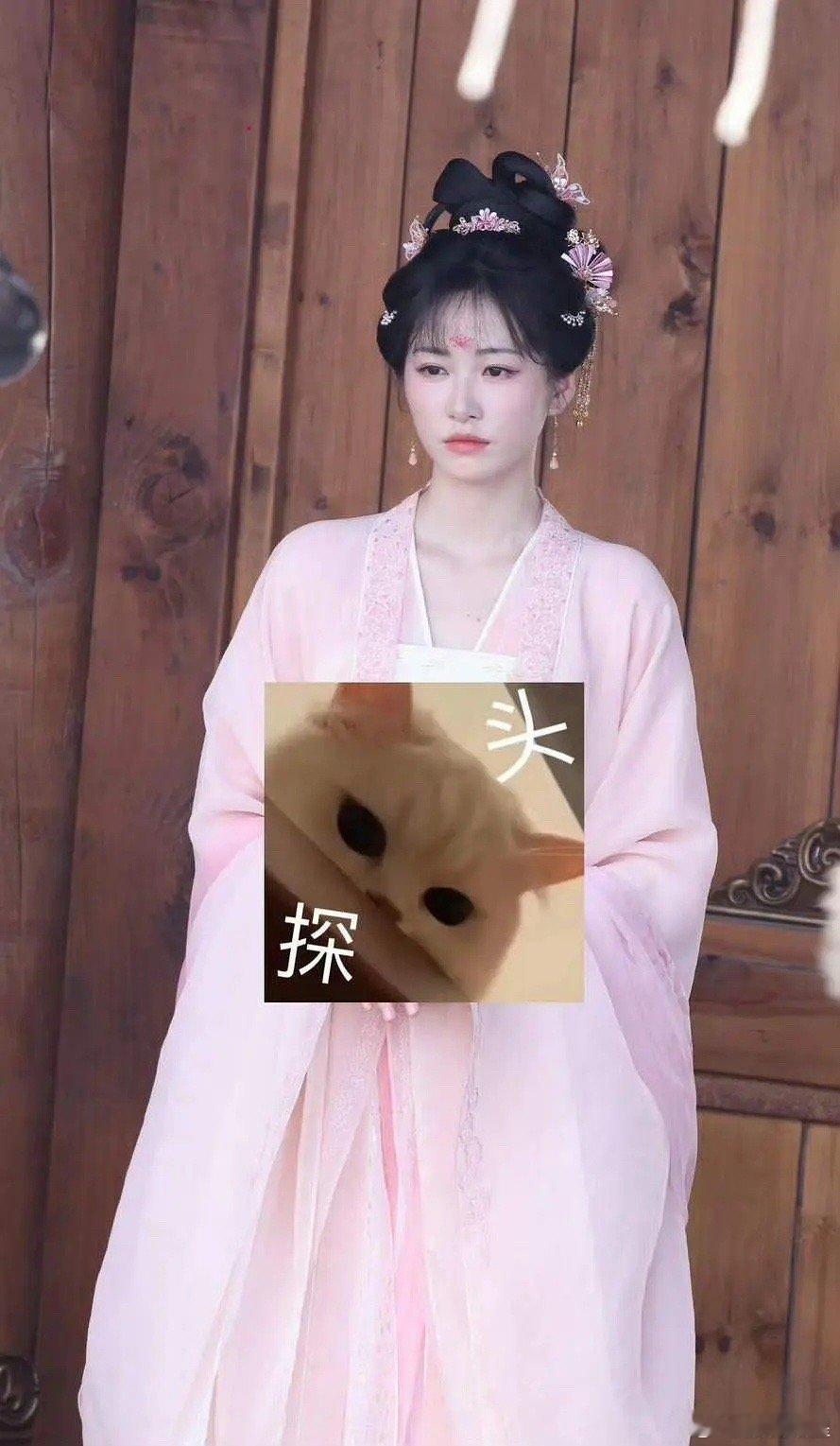 这下理解巴粉了，这不就是长歌行2.0吗 ​​​