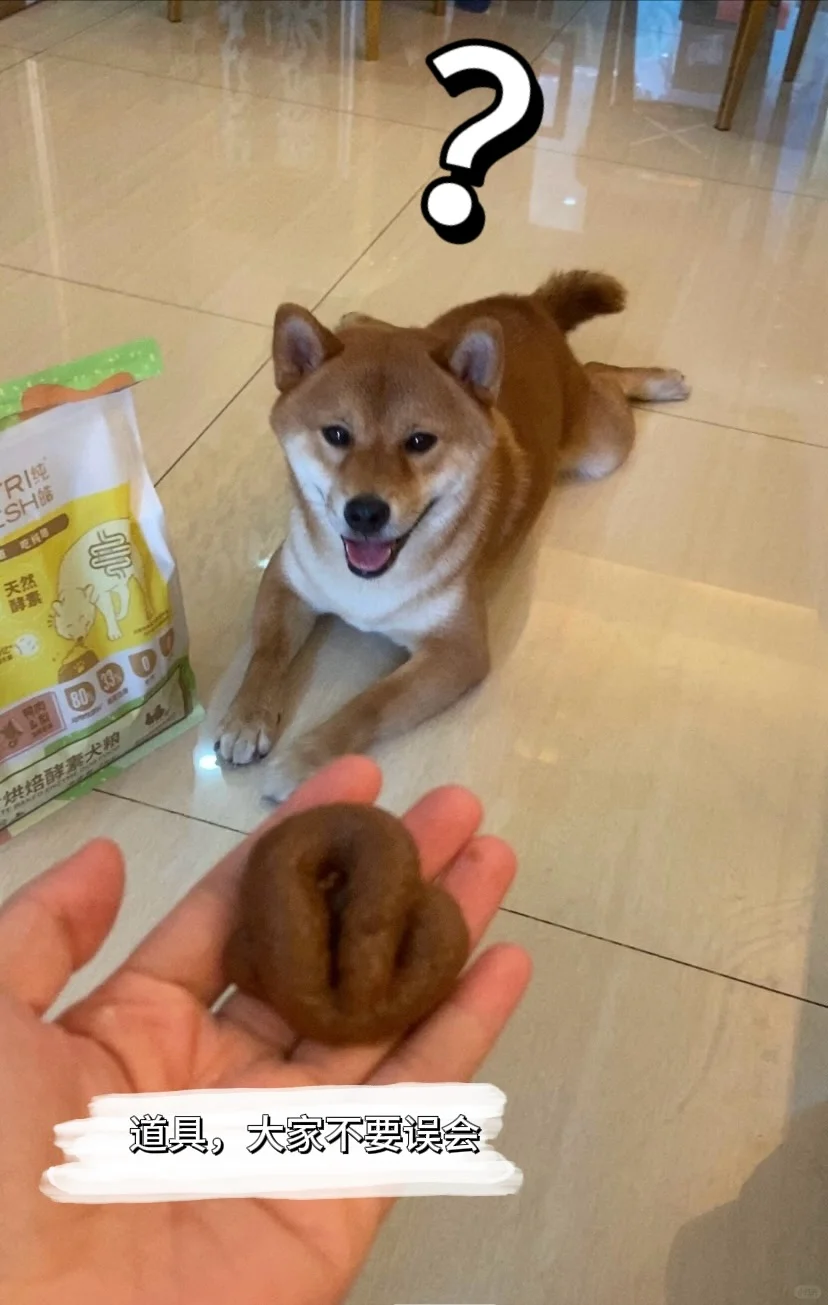 小狗拉粑粑软便怎么办？
