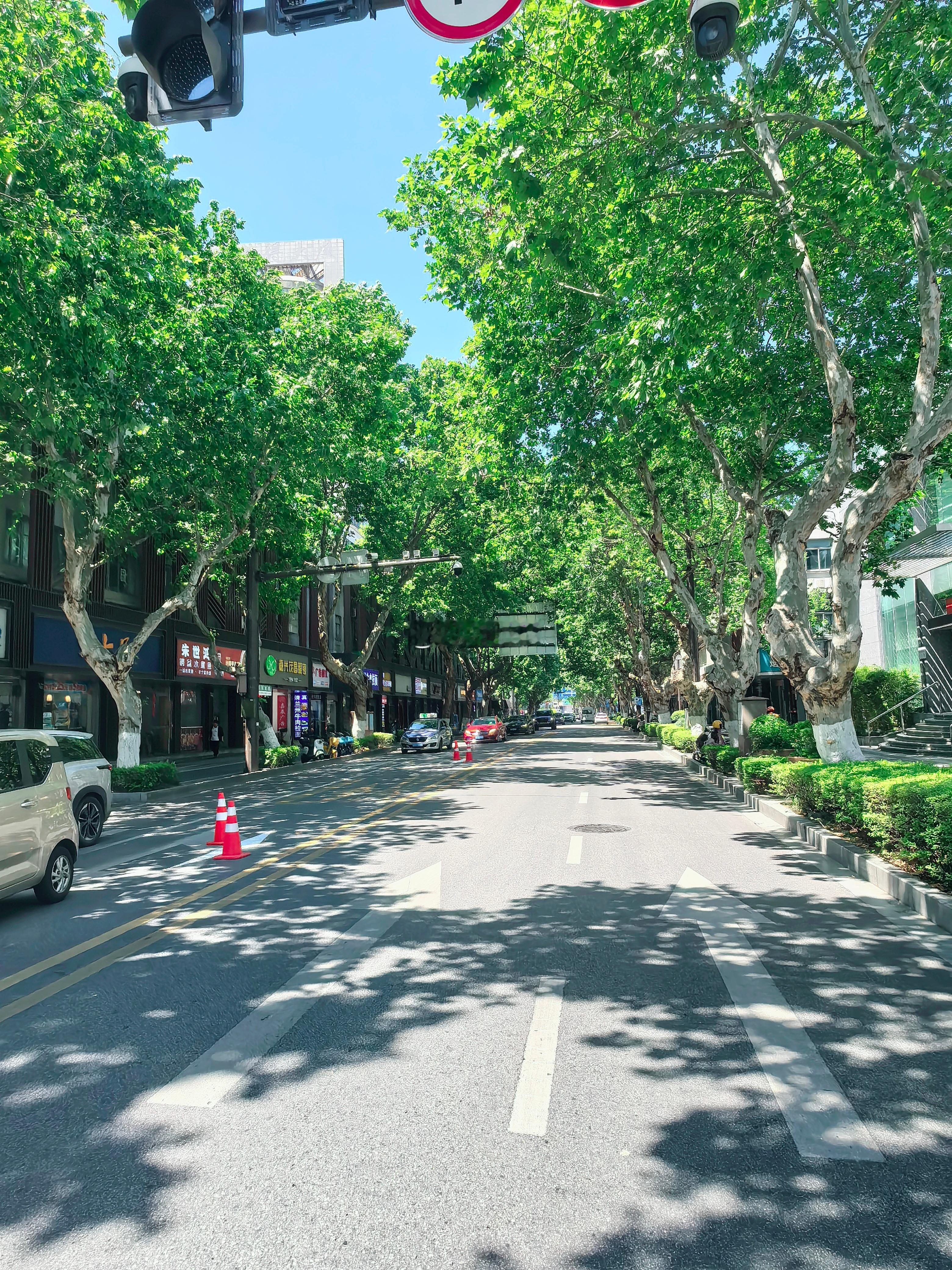 嘉兴街景随拍。这是一座比绍兴节奏感还慢的城市。市区三环内禁鸣喇叭，这点嘉兴能坚持