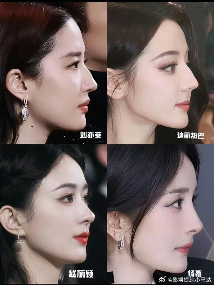 现役最美侧颜，你们同意吗？ 刘亦菲 迪丽热巴 赵丽颖 杨幂 