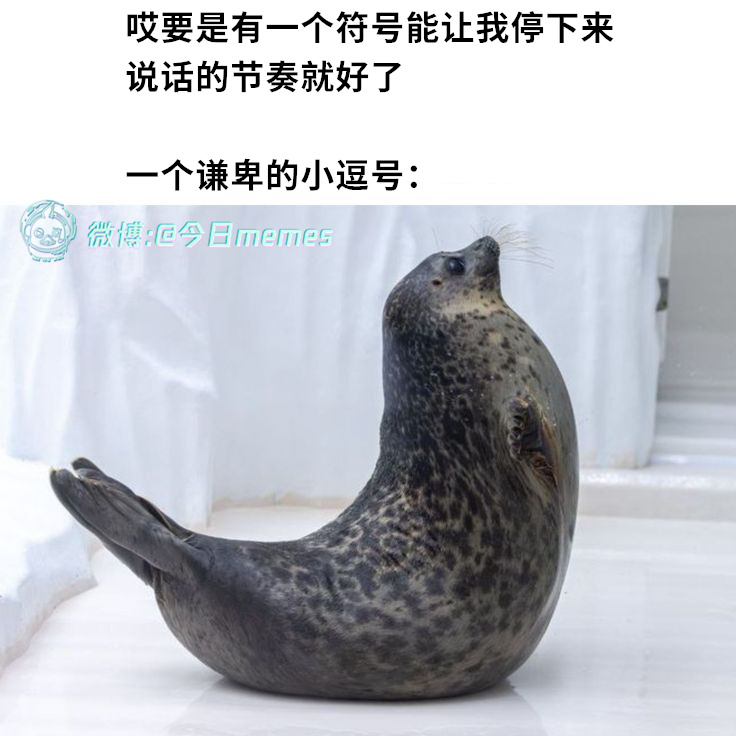 ，（9gag）今日meme今日memes