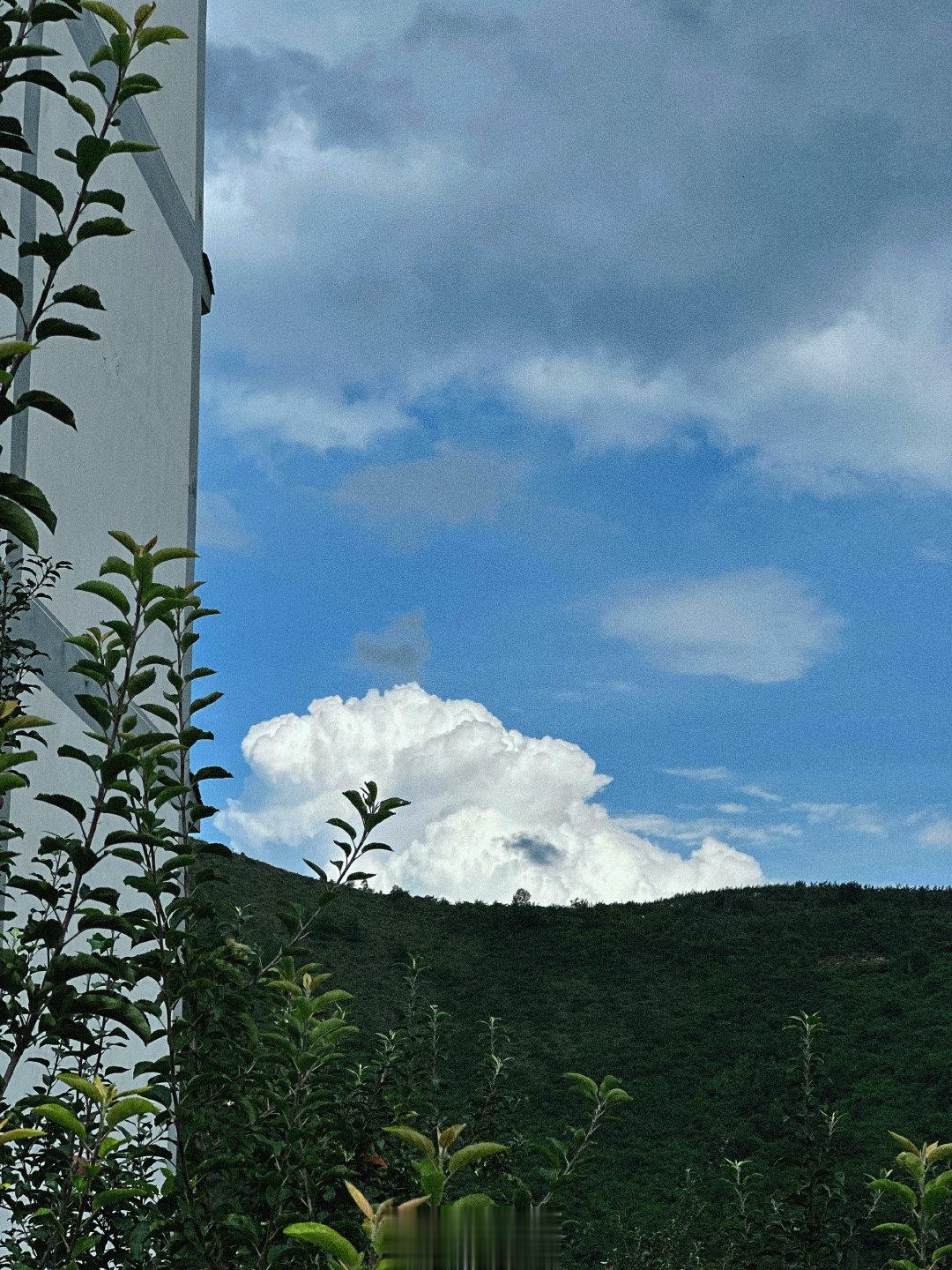 •͈ᴗ•͈       下乡日记☁️ ​​​