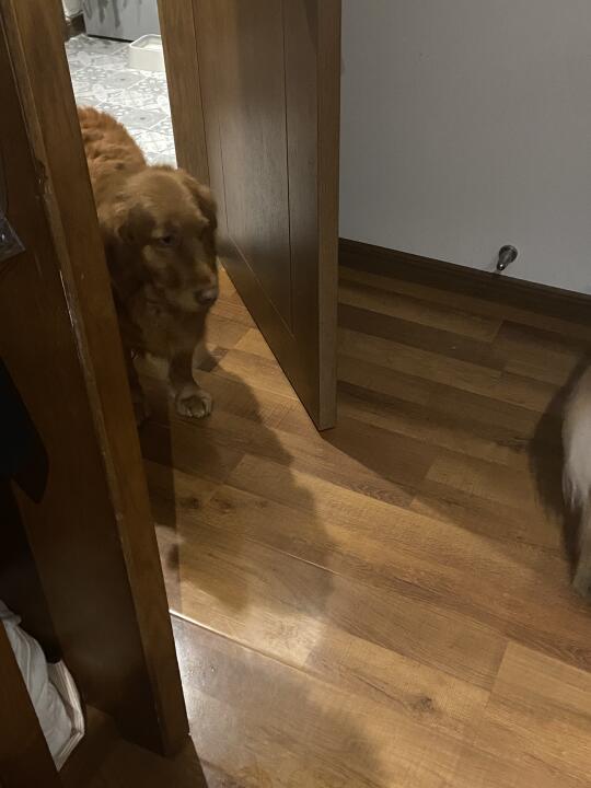 好乖的～