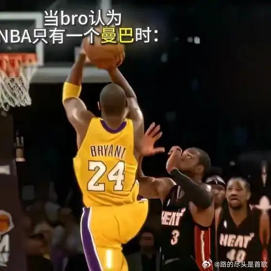 《“当Bro认为NBA只有一个曼巴.”NBA》播放量：1225点赞量：63网页链