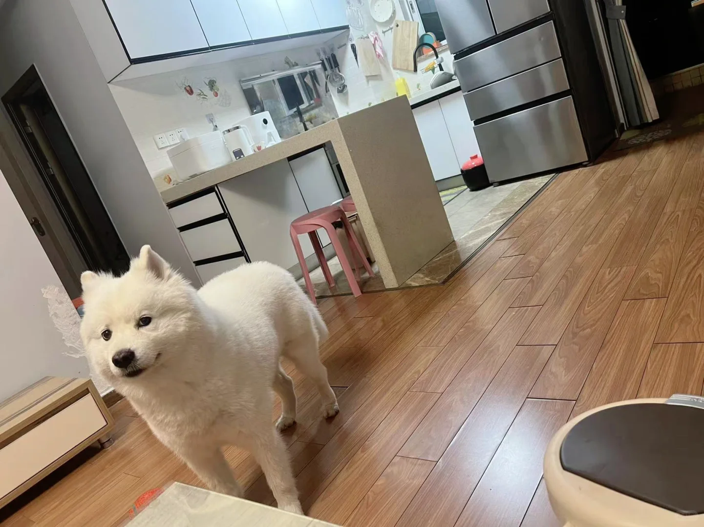 为什么还不带我出去玩