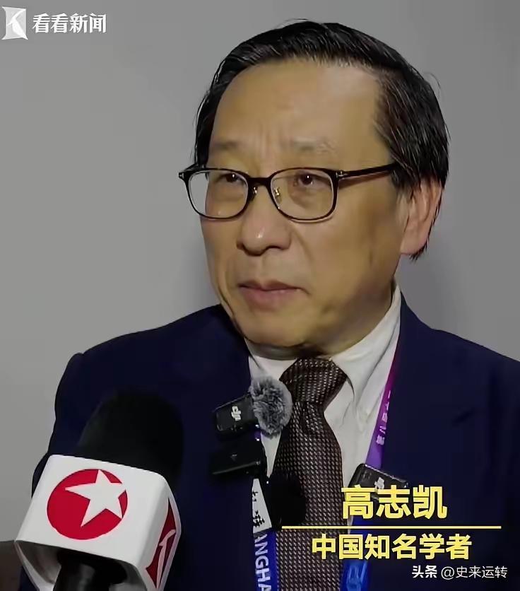 高志凯这次没绕弯子，直接捅破了一层很多人不愿碰的窗户纸
苏州大学讲席教授高志凯在