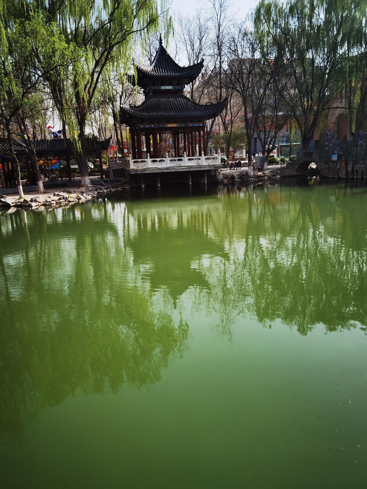 没有青山
只有绿水
仿古建筑
绿柳摇摆
独坐此处
赏春之景