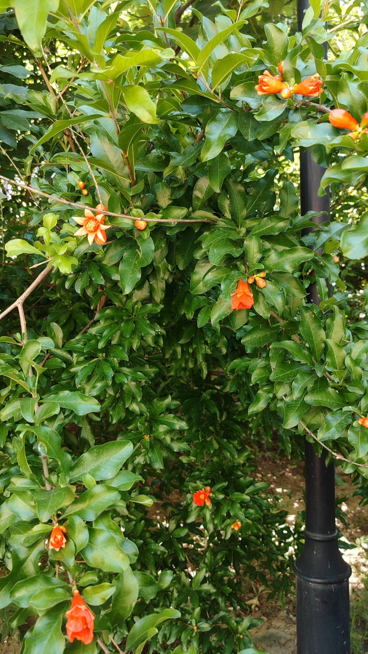 晒图笔记大赛