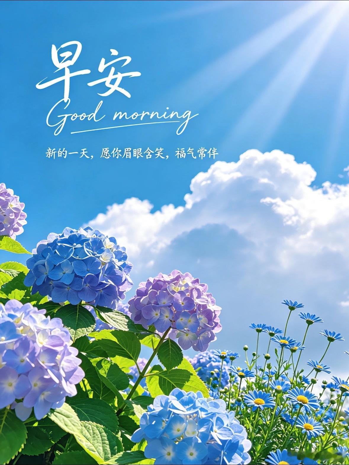 停止内耗慢慢生活，心有光芒，一路芬芳✨快慢皆是人生节奏顺其自然，自绽芬芳戒掉内耗