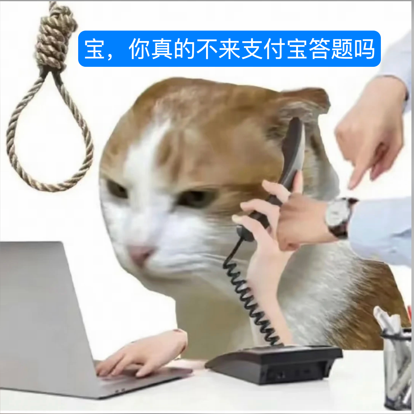 支付宝这个碰一下答题还挺有意思。去活动门店就能参与，又有互动感又有福利淘宝竟然为