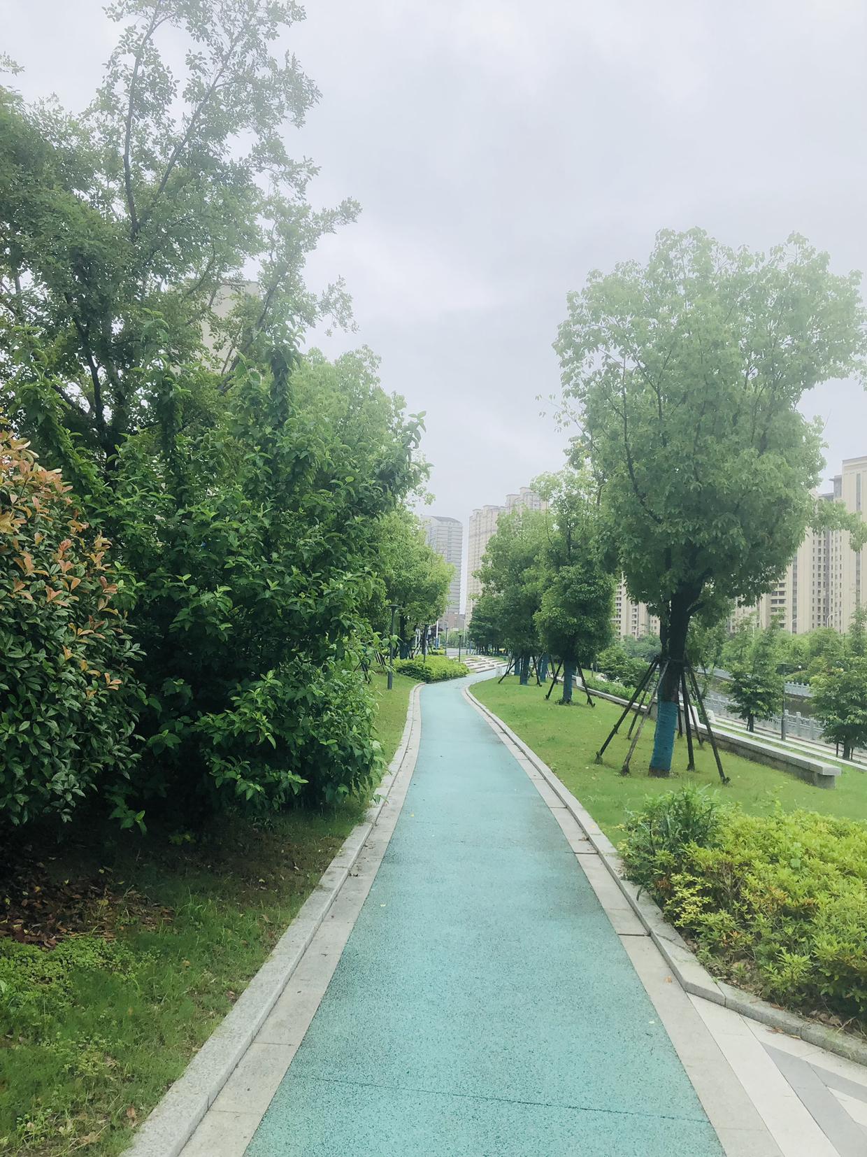我的今日状态：😁轻松愉快
我这里的天气：🌤️多云
今天清晨细雨蒙蒙，空气潮湿