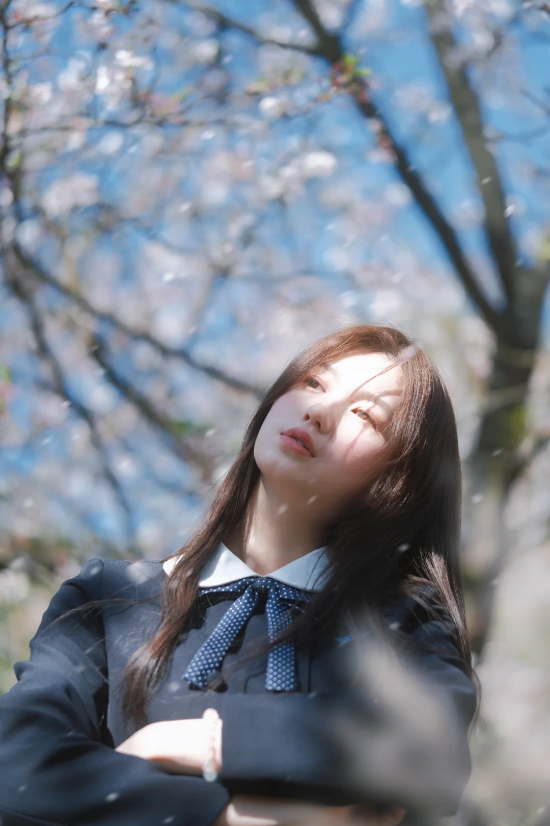 学姐带你看樱花🪾🌸