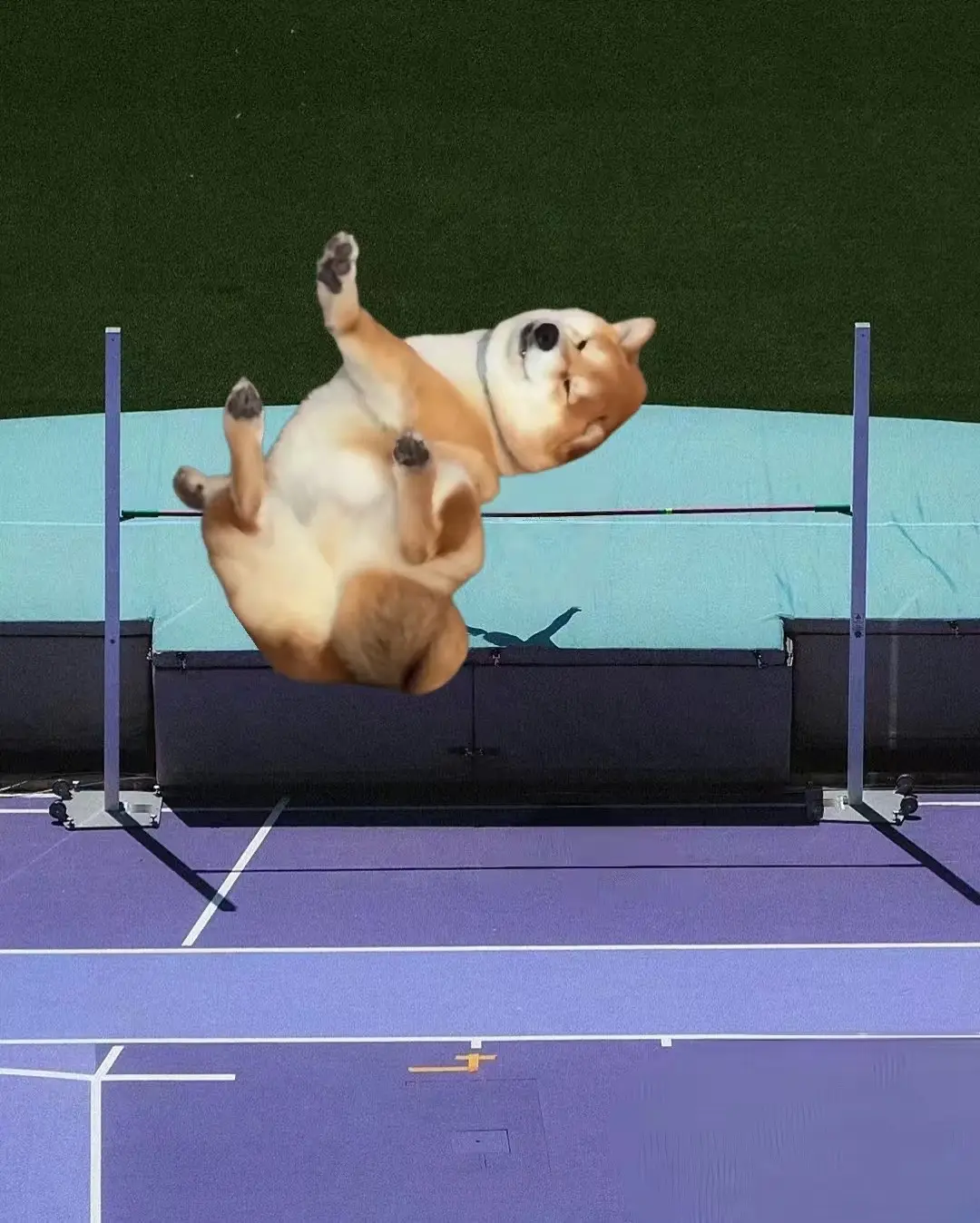 发信息不回是因为在比赛呢！不是不爱你了宝贝😉